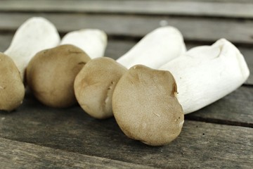 King oyster mushroom -  Eryngii mushroom
