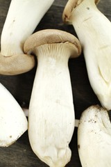 King oyster mushroom -  Eryngii mushroom