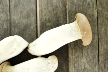 King oyster mushroom -  Eryngii mushroom