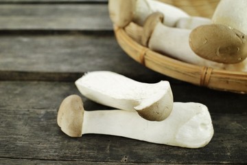 King oyster mushroom -  Eryngii mushroom