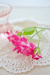 バーガンディ・アイスバーグ