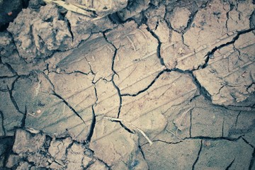 Cracked dry soil
