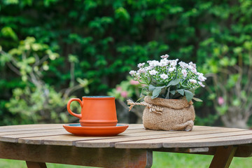 Cup of coffee and flowers with tree in background.