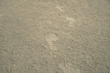 Footprints on the beach