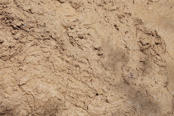 Close up of muddy puddle