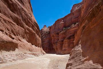 Fototapeta premium AZ-UT-Paria Canyon-Vermillion Cliffs Wilderness. This image was captured during one of my 40 mile backpacks down the Paria River, experiencing hundreds of stream crossings.