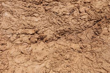 Close up of muddy puddle