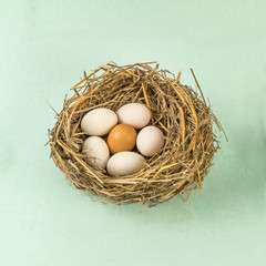 twigs nest with white egg and one of different or unique 