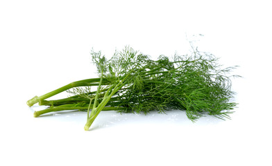 fresh green Dill on white background