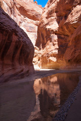 Fototapeta na wymiar AZ-UT-Paria Canyon-Vermillion Cliffs Wilderness. This image was captured during one of my 40 mile backpacks down the Paria River, experiencing hundreds of stream crossings.