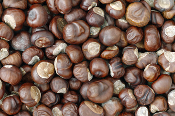 Chestnuts