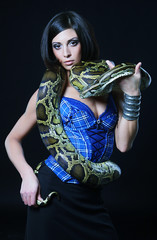 sexy brunette holding python