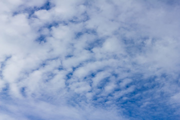Blue sky background with cloud .