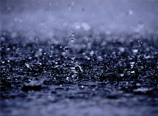 Fototapeta na wymiar drops, rain