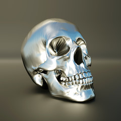  silver scull