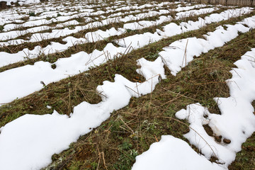 Snow falls in Sapa, Vietnam in 2014, an unusual natural phenomenon