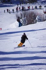 sports d'hiver - monoski