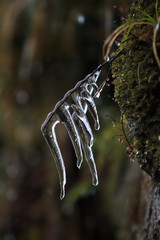 Snow falls in Sapa, Vietnam in 2014, an unusual natural phenomenon