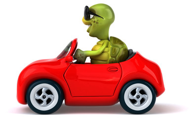 Fototapeta premium Fun turtle