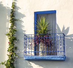 Blue balcony with a flower in a white house with ivy