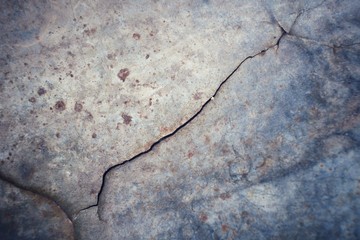 Old gray wall