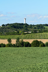 Landscape - vineyards wheat fields and water tower in Charentes-Maritime in France