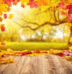 autumn leaves background