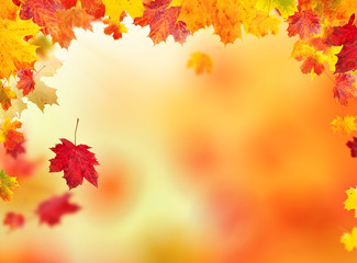 autumn leaves background