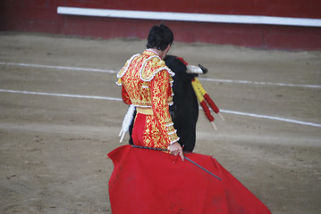 Bullfighter