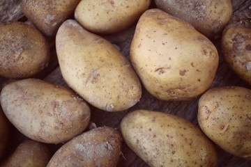 Fresh potatoes