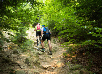 Obraz premium two men with backpacks hiking up the hill on the forest trail