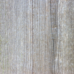The old wood texture with natural patterns