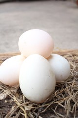 White eggs
