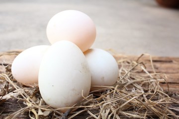 White eggs
