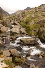 The mountain stream