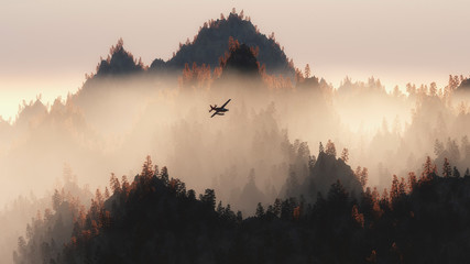 Prywatny samolot lecący nad jesiennymi sosnami we mgle. - 90446193