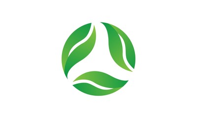 Ecology Leaf