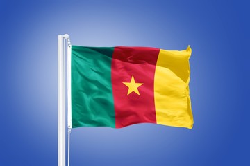 Obraz na płótnie Canvas Flag of Cameroon flying against a blue sky