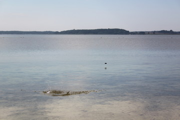 Fleesensee, h&uuml;pfende Steine