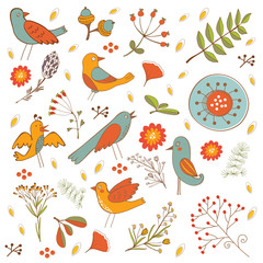 Colorful composition with birds and  flowers