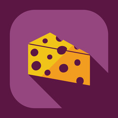 Flat modern design with shadow icons cheese