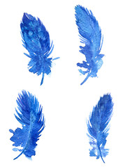 set of blue plumes