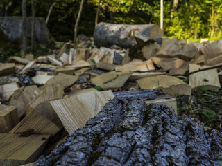 Obraz premium Brennholz als nachwachsender Rohstoff und Energiequelle