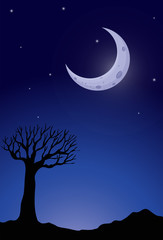 Silhouette tree at nighttime