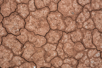 Cracked and barren ground