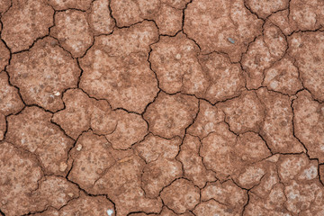 Cracked and barren ground