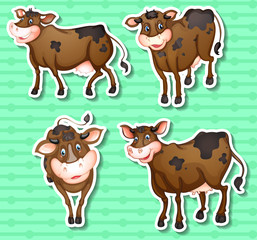 Stickers of cows on green background