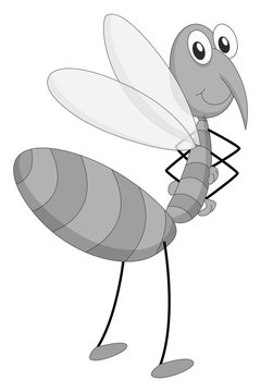 Smiling mosquito in black and white
