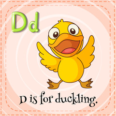 Flashcard of letter D