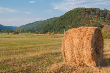 Summer Farm Scenery with Haystack. Agriculture Concept.